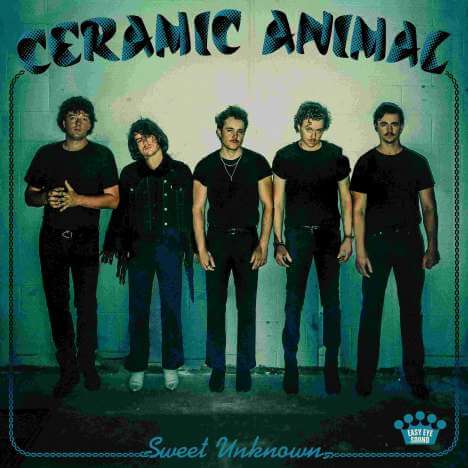 Ceramic Animal - Sweet Unknown - CD