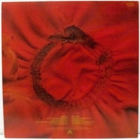 The Alan Parsons Project - Vulture Culture- Vinyl Lp ( Μεταχειρισμένο) - Image 2