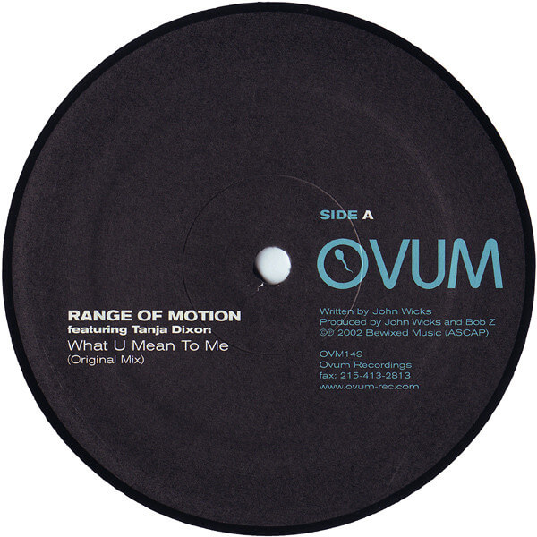 Range Of Motion Featuring Tanja Dixon – What U Mean To Me - 12'' Vinyl