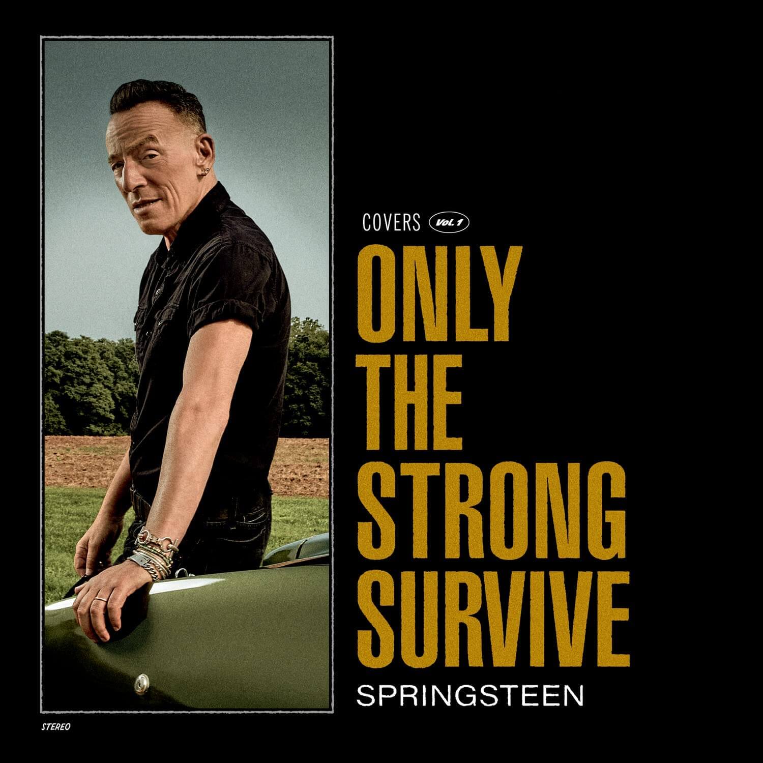 Bruce Springsteen - Only the Strong Survive - Vinyl LP