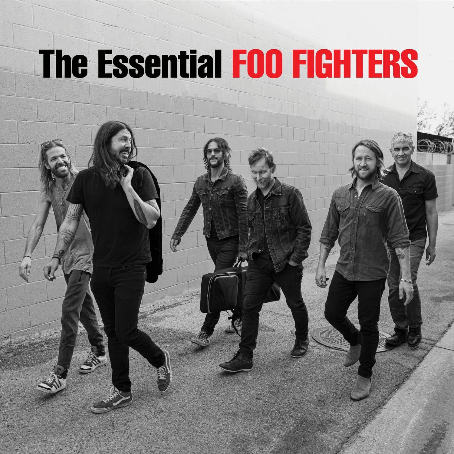 Foo Fighters - The Essential Foo Fighters - Vinyl LP