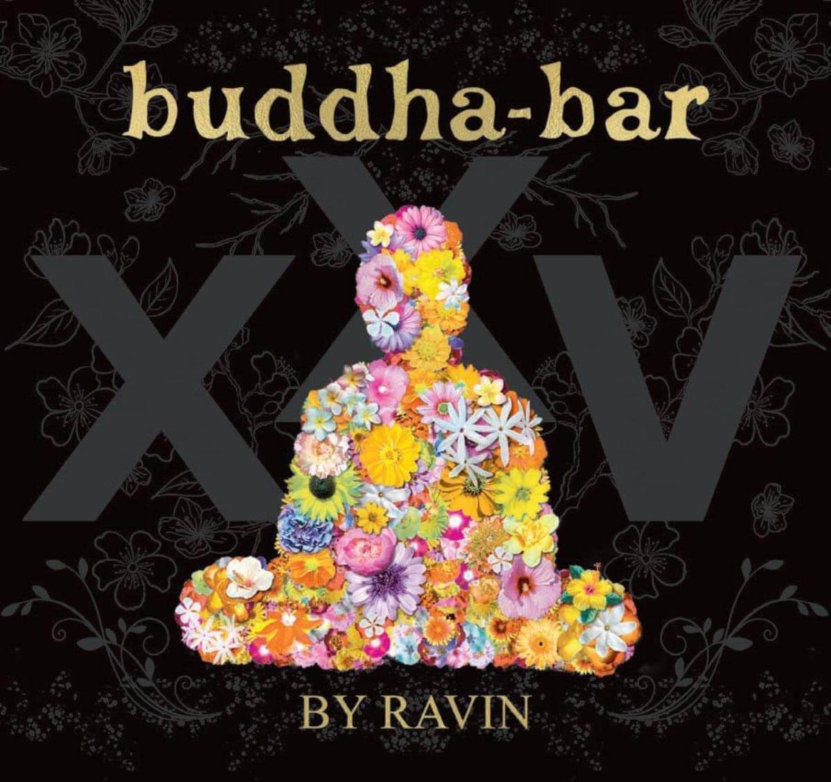 Various Artists - Buddha Bar XXV - CD