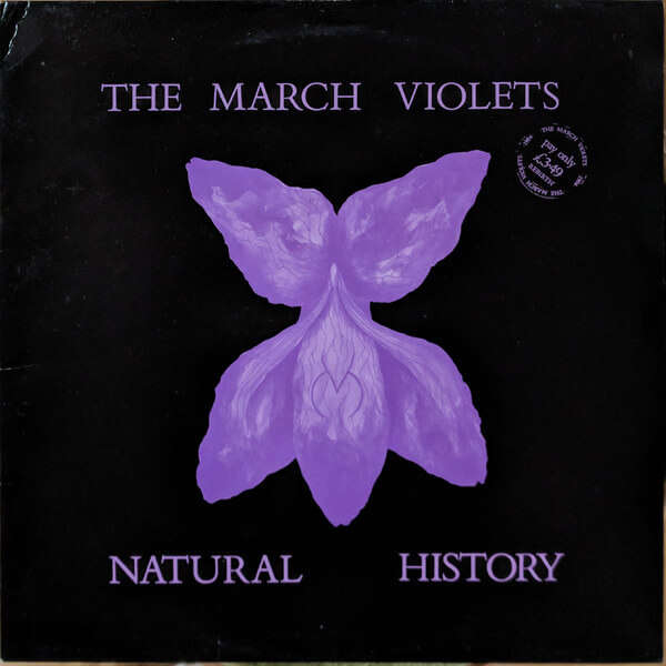 The March Violets – Natural History - Vinyl LP - Near Mint - Image 2