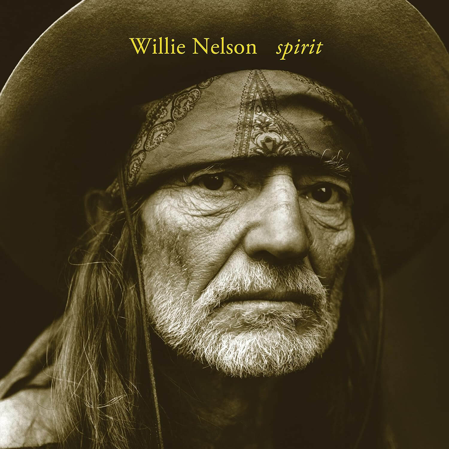 Willie Nelson - Spirit - Vinyl LP