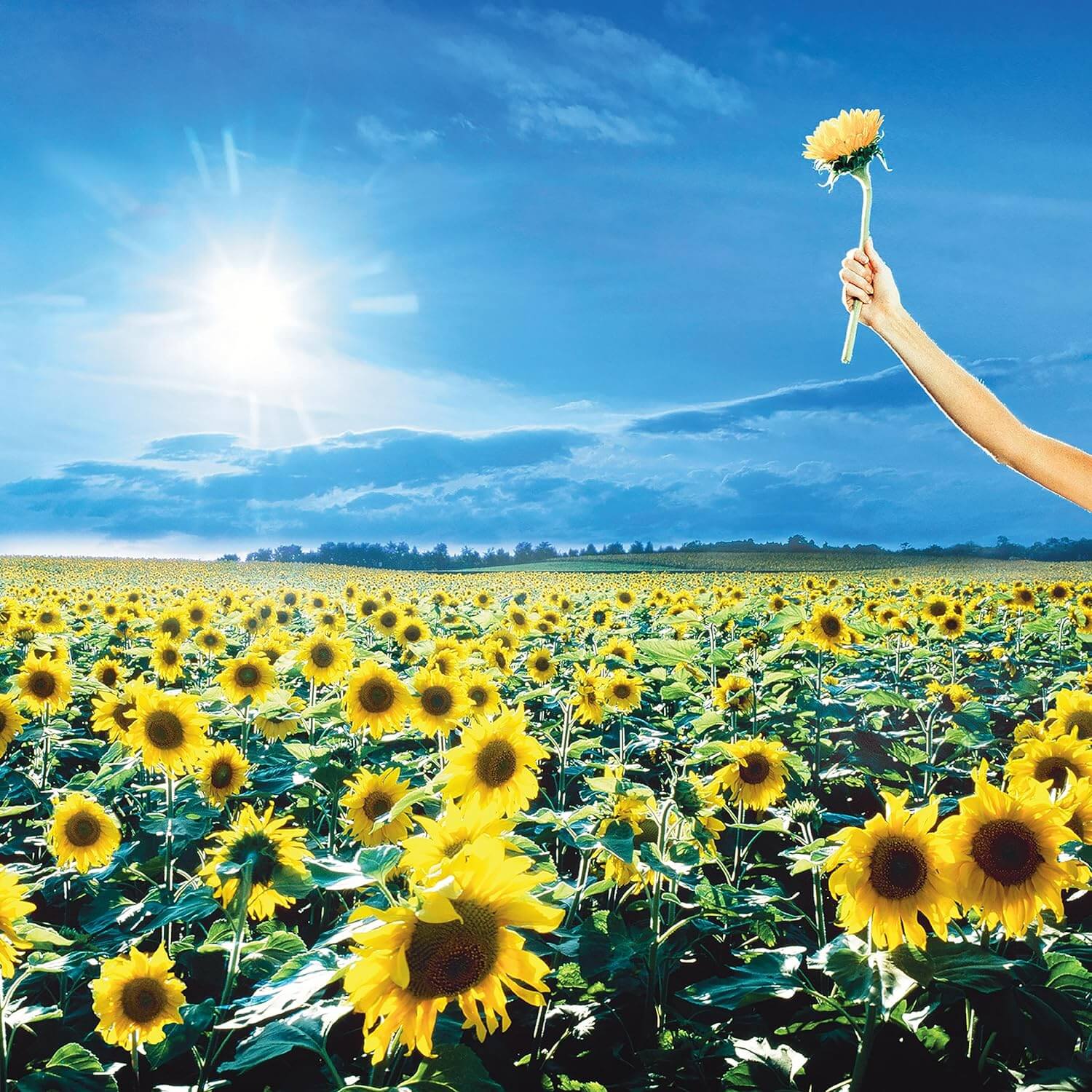 Stone Temple Pilots - Thank You - Vinyl LP