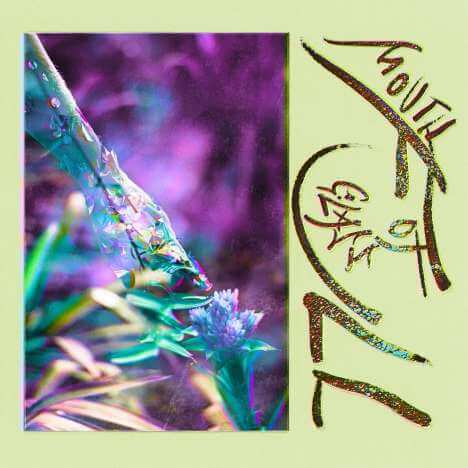 mammal RASTA LION JACKET（パープル） mammal RASTA LION JACKET（パープル） Lion With Dreadlocks Merch