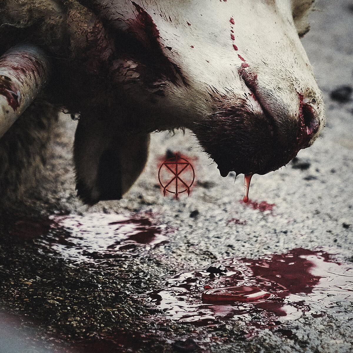 To the Grave - Director's Cuts - Vinyl LP