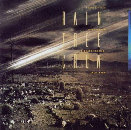 Rain Tree Crow - Rain Tree Crow - CD