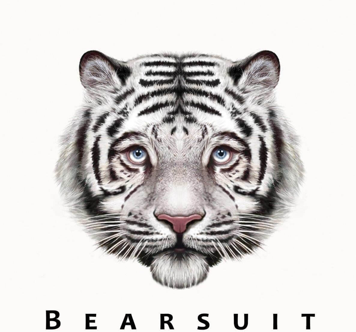 Bearsuit - Phantom Forest - Vinyl LP