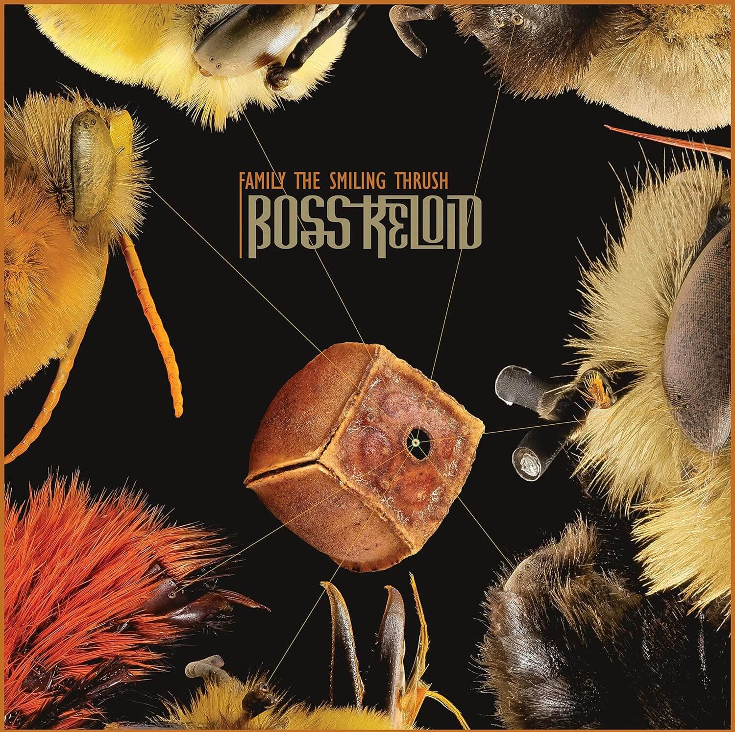 Boss Keloid - Family The Smiling Thrush - CD