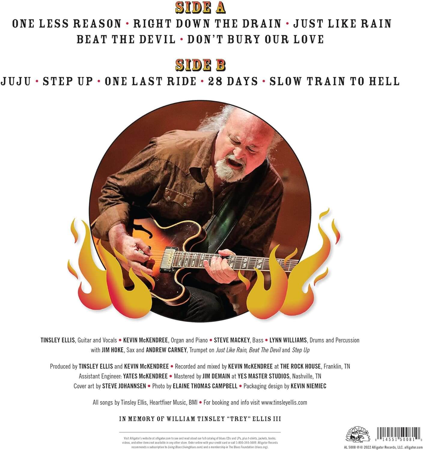 Tinsley Ellis - Devil May Care - Vinyl LP - Image 3