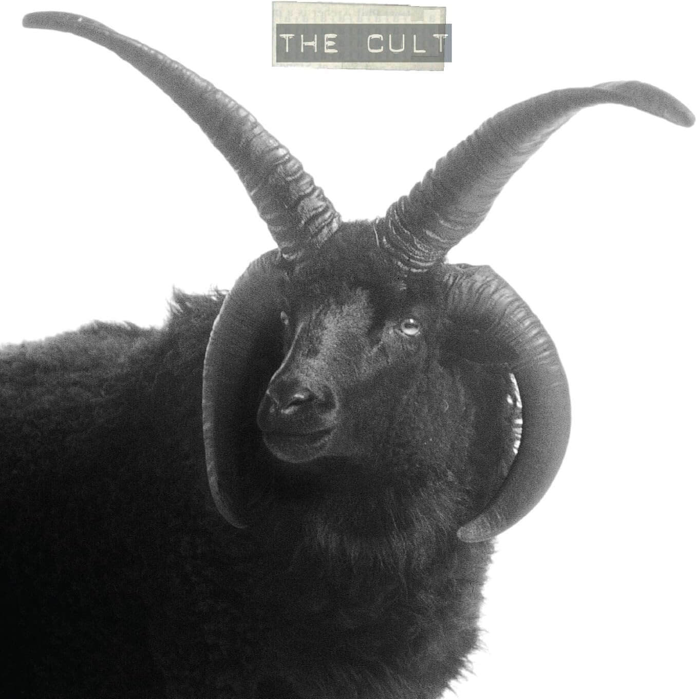 The Cult - The Cult - Vinyl LP