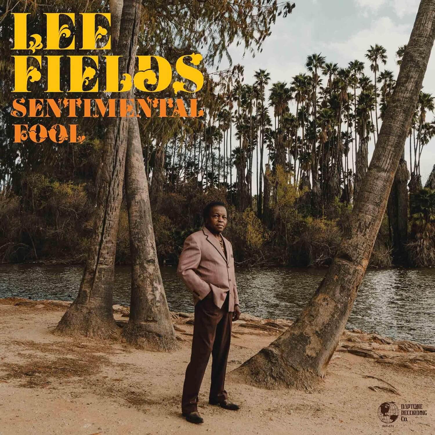 Lee Fields - Sentimental Fool - Vinyl LP - Image 2