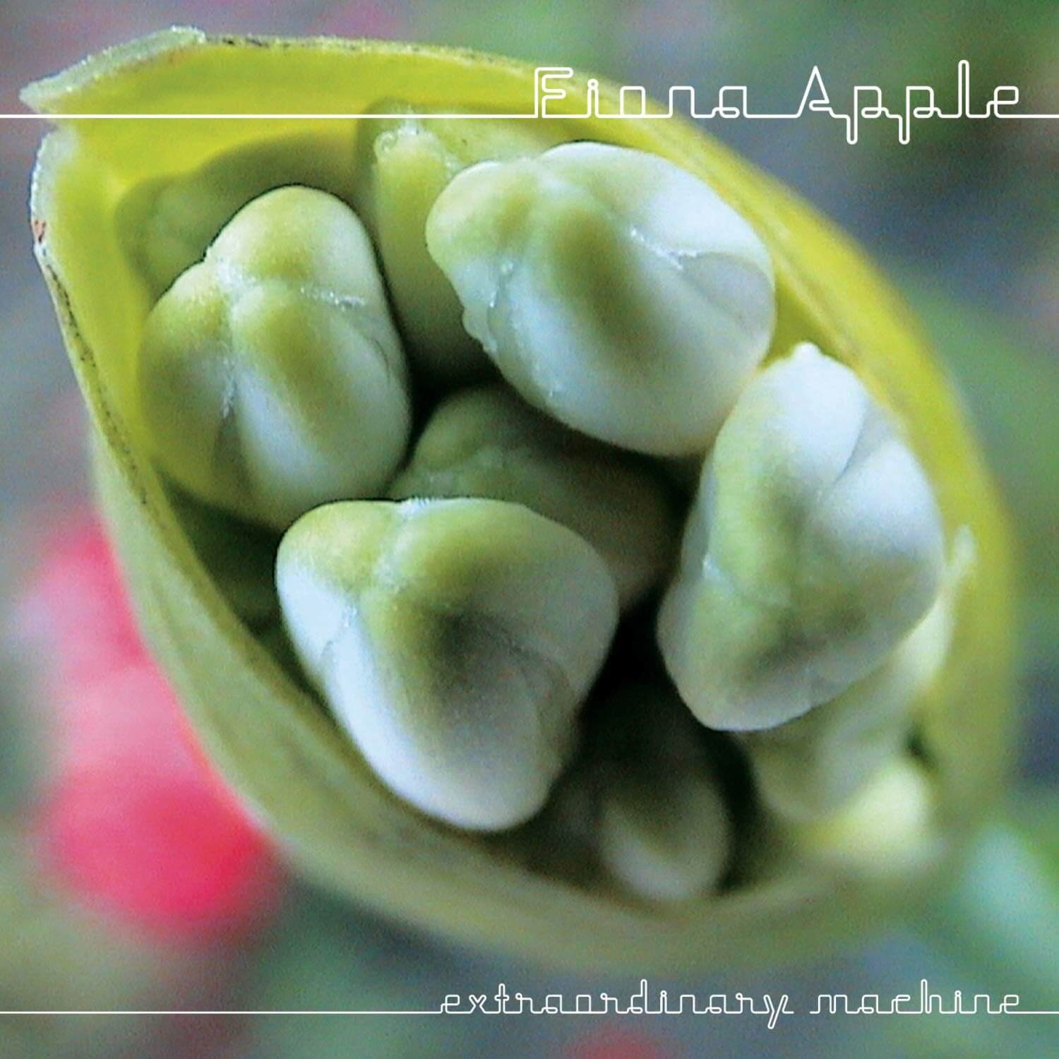 Fiona Apple - Extraordinary Machine - Vinyl LP