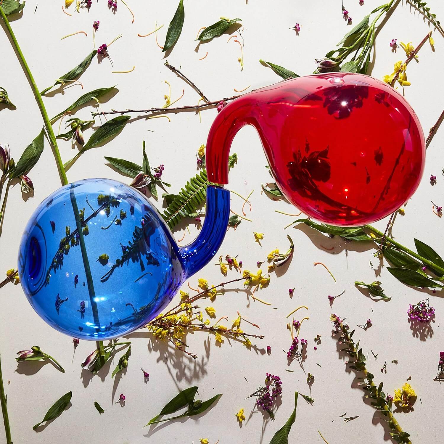 Dirty Projectors - Lamp Lit Prose - CD