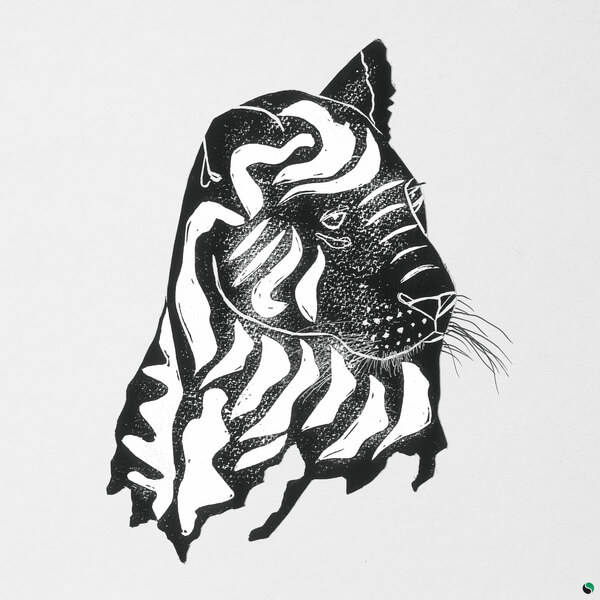 Alpha Steppa & Awa Fall - What a Joy - CD