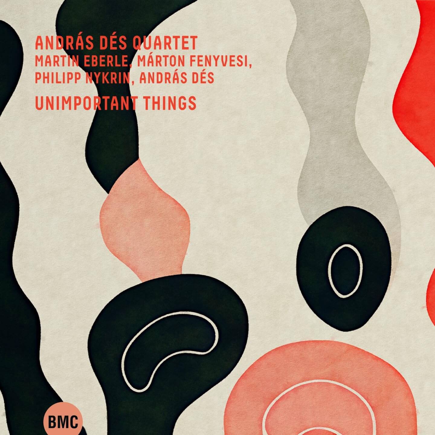 Andras Des Quartet - Unimportant Things - CD