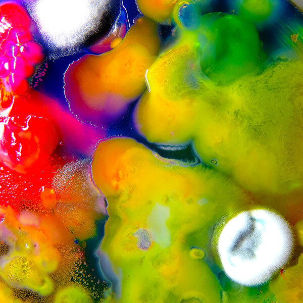 Guerilla Toss - Famously Alive - Tape