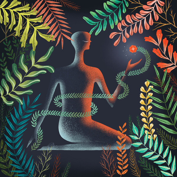 Loma - Don’t Shy Away - CD