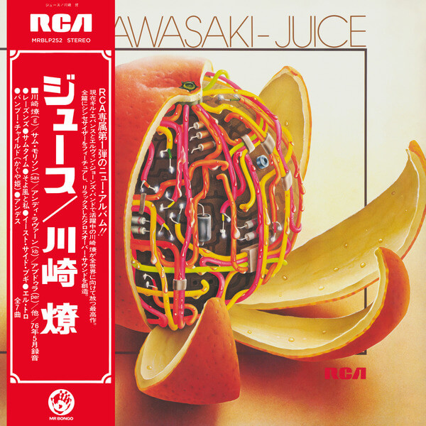 Ryo Kawasaki - Juice - CD