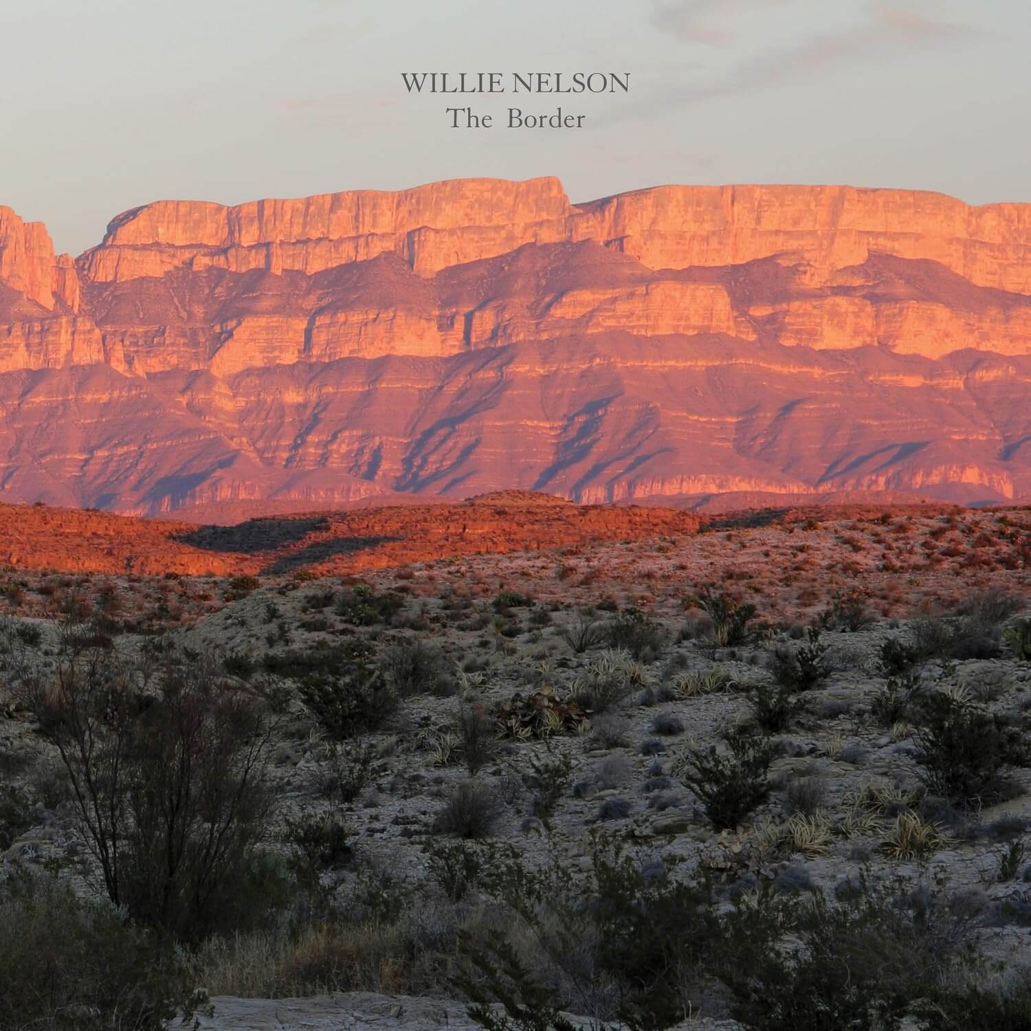 Willie Nelson - The Border - Vinyl LP