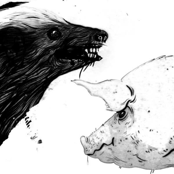 Clark - Honey Badger / Pig - 12"