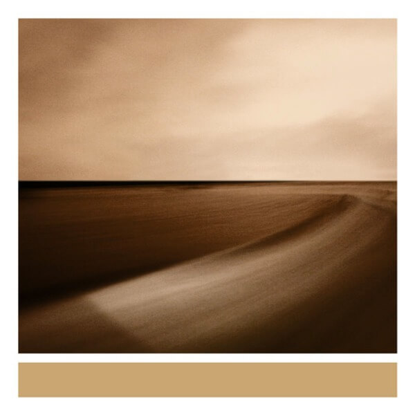 Brian Eno - Small Craft On A Milk Sea - CD