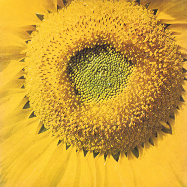 Marcos Valle - Girassol - 7"