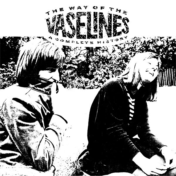 The Vaselines - The Way Of The Vaselines – A Complete History - 2LP