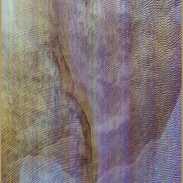 Akron/Family - Sub Verses - CD