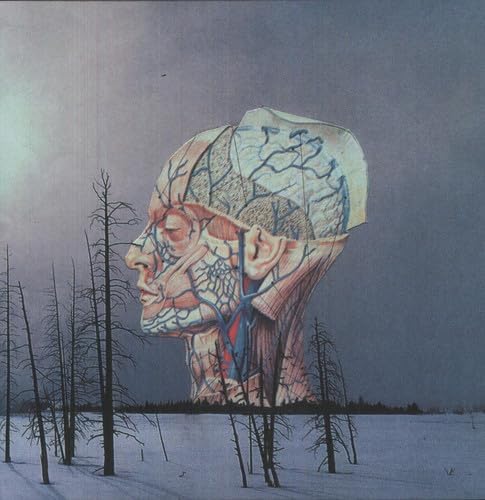 Low - Songs For A Dead Pilot - Vinyl LP