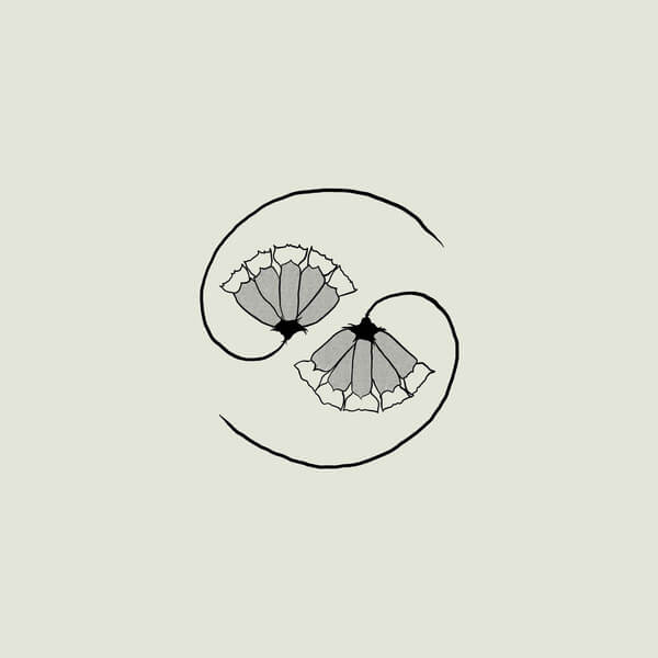 Godspeed You! Black Emperor - G_d’s Pee AT STATE’S END - CD