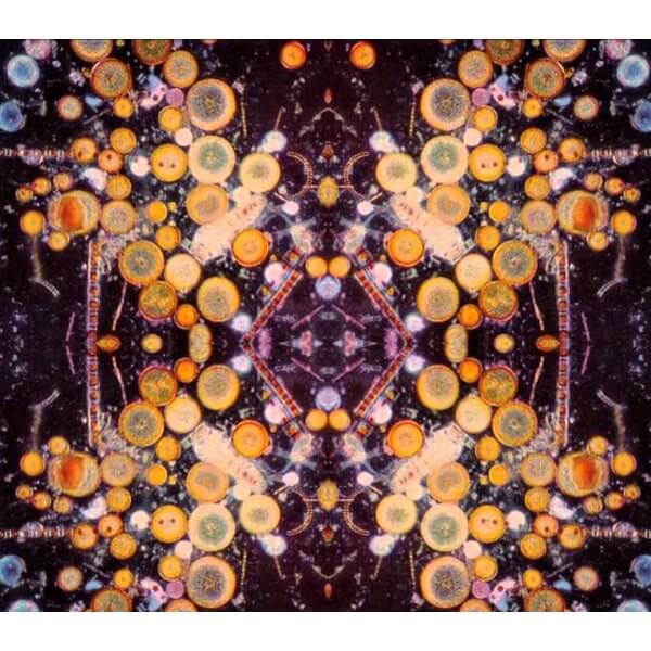 Ken Camden - Lethargy And Repercussion - LP