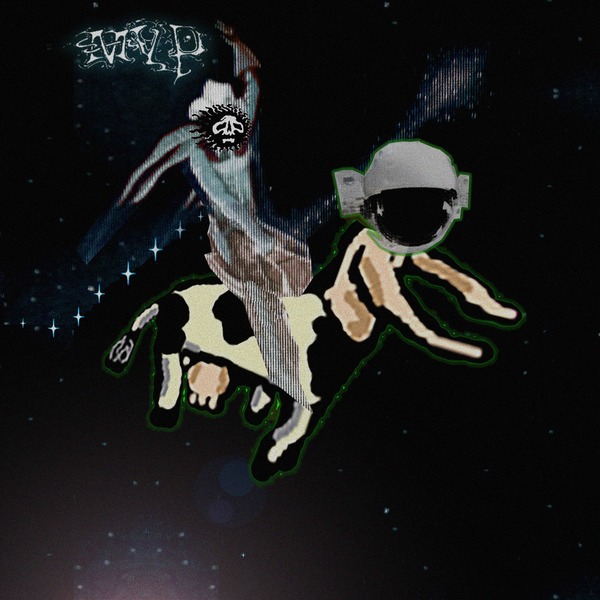 Matt Valentine - Preserves - LP