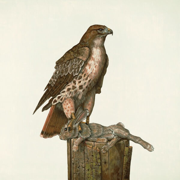 Federale - No Justice - LP