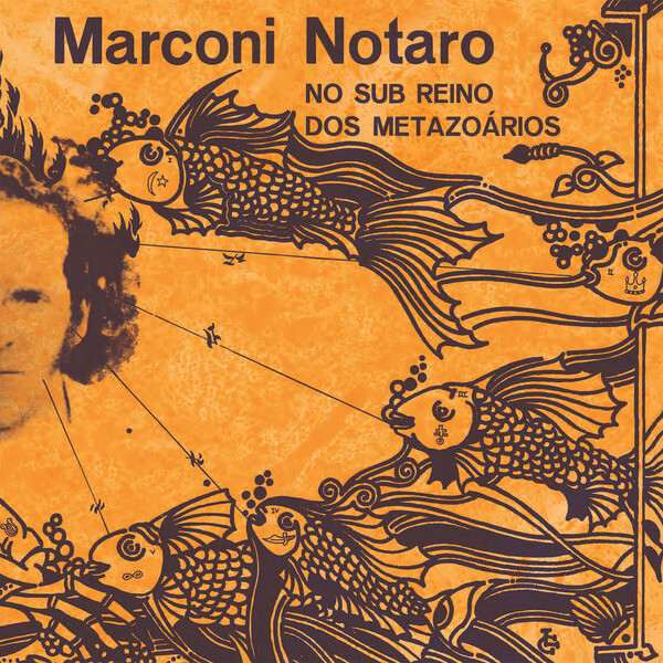 Marconi Notaro - No Sub Reino Dos Metazoários - LP