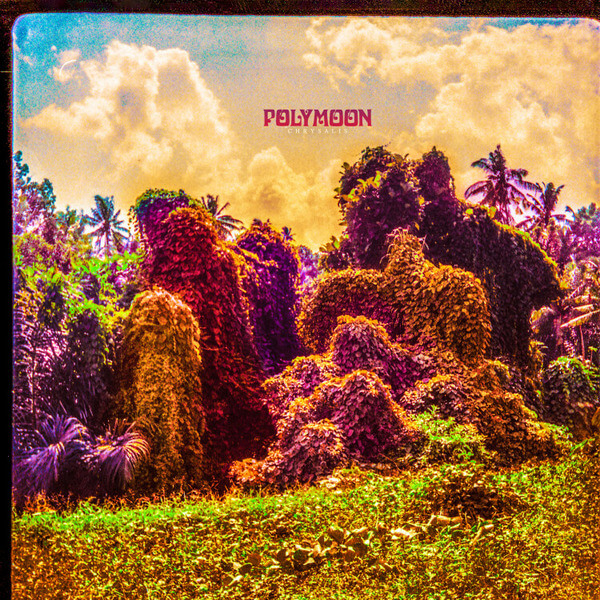 Polymoon - Chrysalis - LP