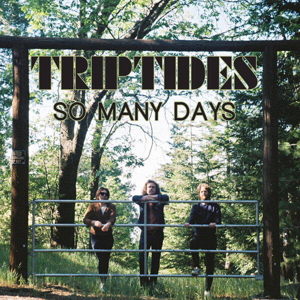 Triptydes - So Many Days - 12"
