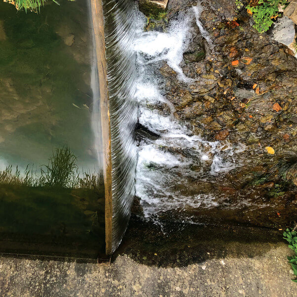 Jessica Moss - Phosphenes - LP