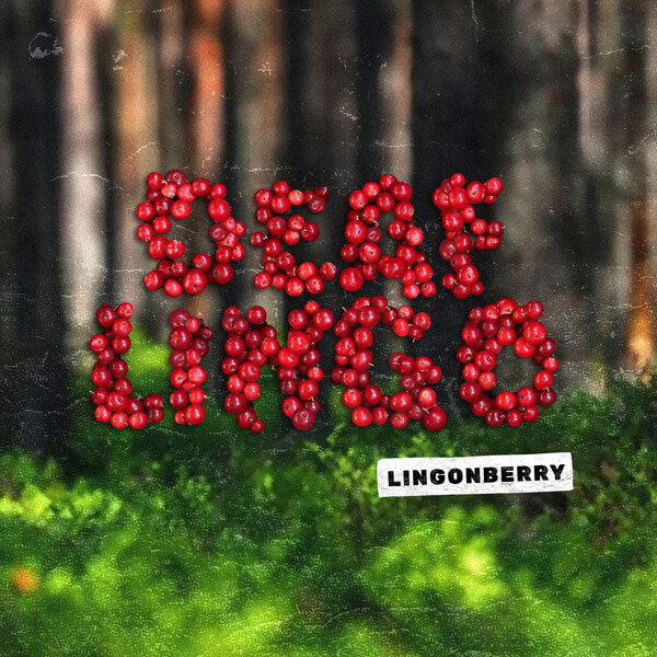 Deaf Lingo - Lingonberry - LP