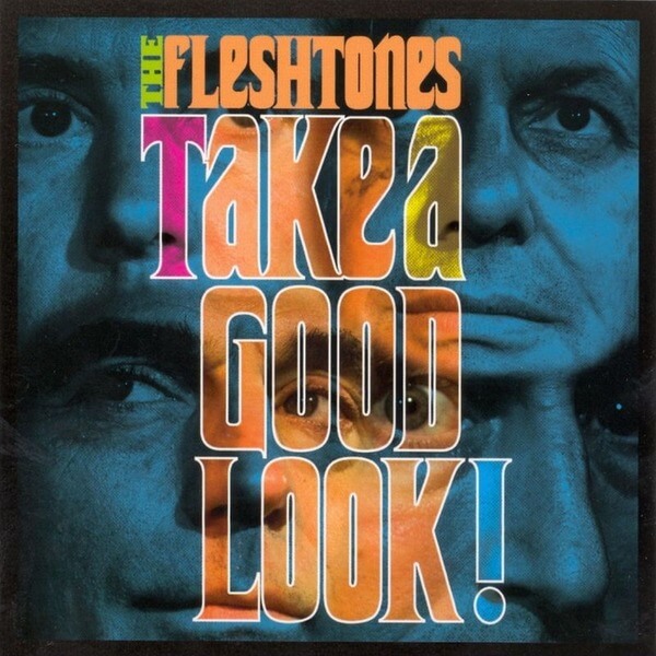 The Fleshtones - Take a Good Look - CD
