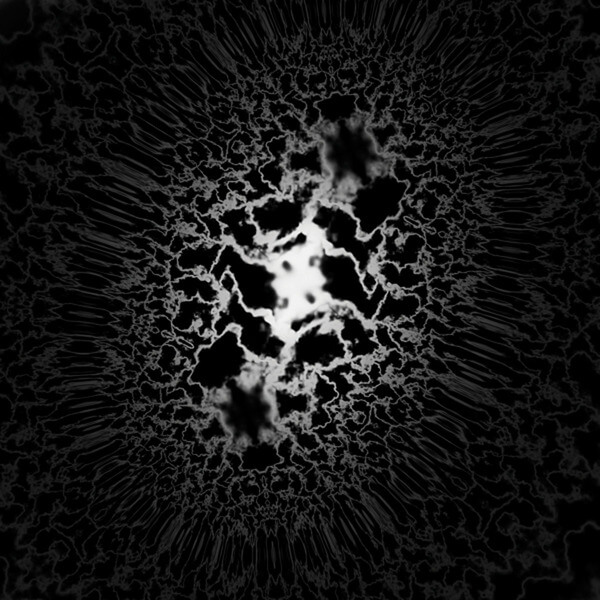 Trad Gras och Stenar - Homeless Cats - CD