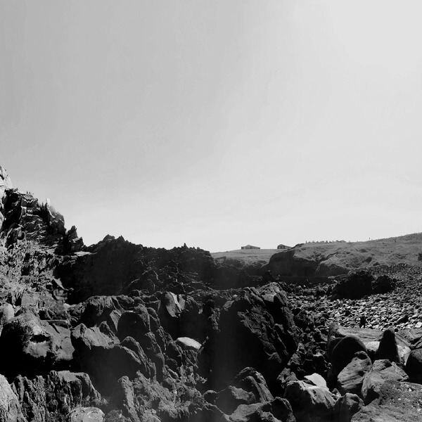 Six Organs Of Admittance - The Veiled Sea - LP