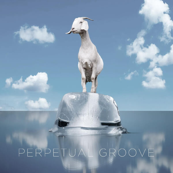 Perpetual Groove - Perpetual Groove - LP