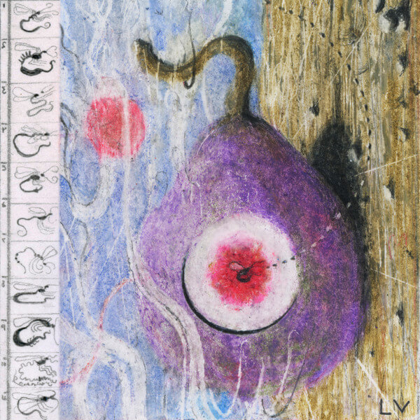 Lunar Vacation - Inside Every Fig is a Dead Wasp - LP