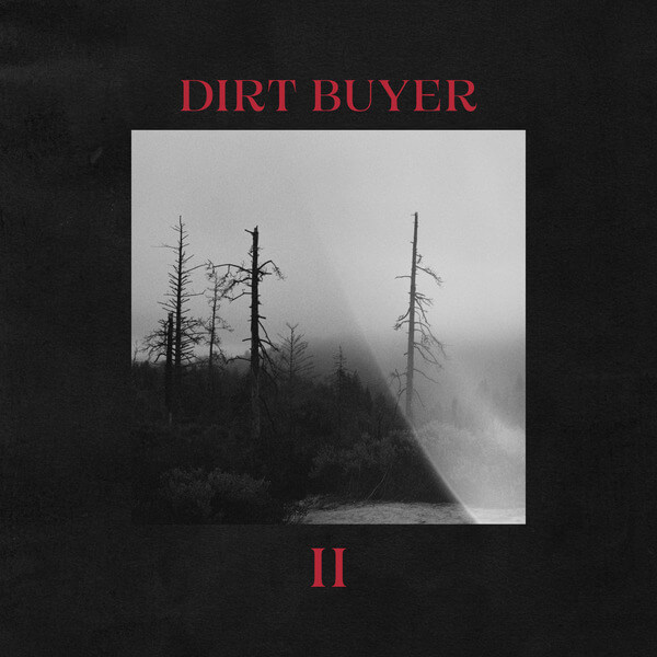 Dirt Buyer - Dirt Buyer II - LP