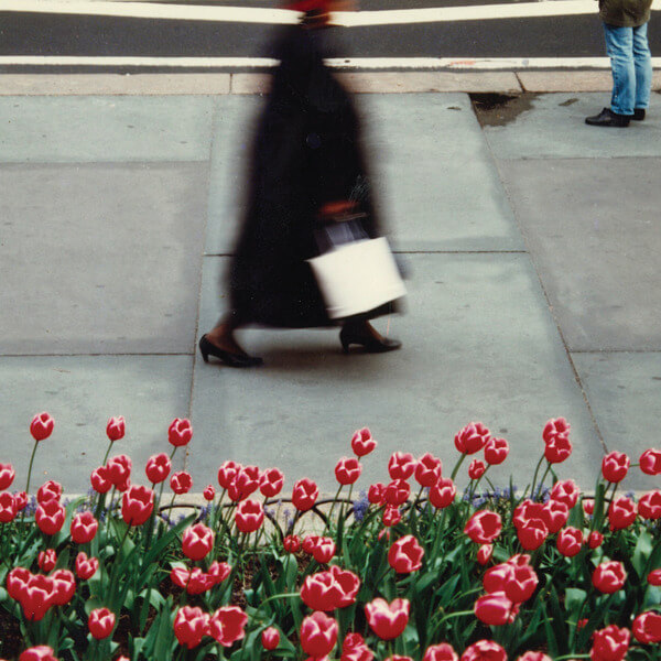 Air Waves - The Dance - LP