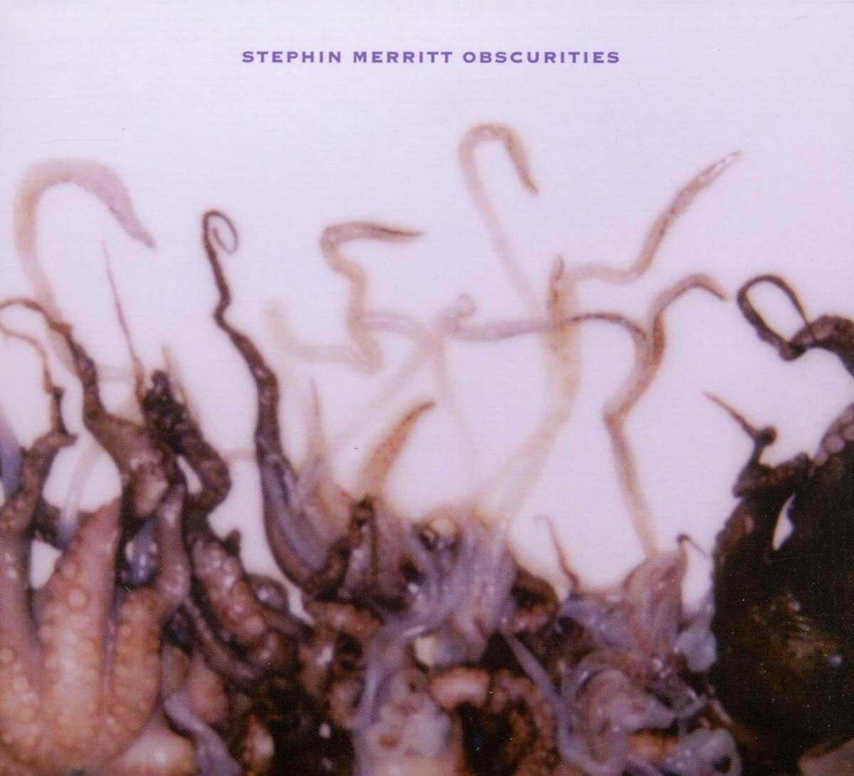Stephin Merritt - Obscurities - Vinyl LP