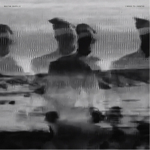 Routine Death - 2 Weeks To 4 Months - LP