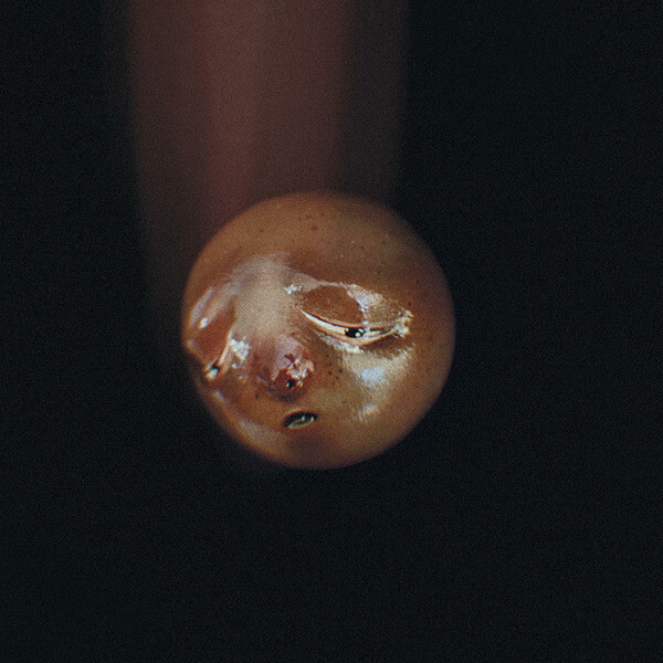 poolblood - Mole - LP